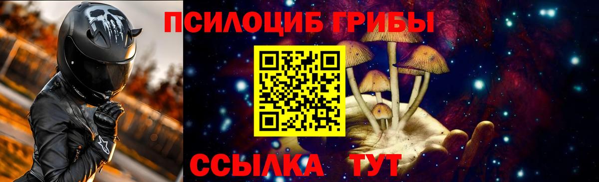 Томск  Галлюциногенные грибы прущие грибы  Псилоцибиновые грибы мухоморы  Вход с VPN 